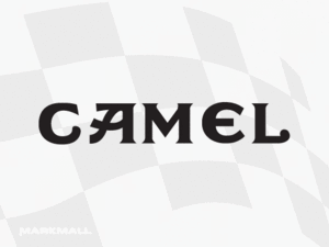 CAMEL [RA107]