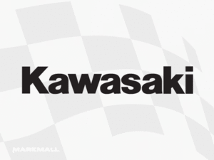 Kawasaki [RC11]