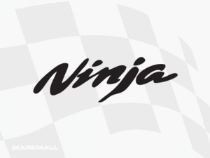 Ninja [RC64]