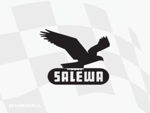 SALEWA [RG17]